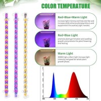 Rwntao Two Strip Growing Lamp For Indoor Plants Red 3000K 6000K Full Spectrum Led Grow Light Strips With Auto Onoff 3912