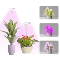 Halo Ring Grow Lights For Small Indoor Plants Redblueyellow Light Full Spectrum Led Plant Light Height Adjustable With 5V 2A