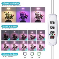 Halo Ring Grow Lights For Small Indoor Plants Redblueyellow Light Full Spectrum Led Plant Light Height Adjustable With 5V 2A