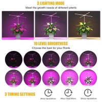 Probapro Full Spectrum Grow Light Height Adjustable Plant Stand Uv Growing Lamp For Indoor Tall Large Plant Succulent Seeding