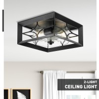 Zeyu 2-Light Modern Ceiling Light Fixture For Kitchen Living Room, 11.4 Inch Square Flush Mount Light Fixture, Aluminum Cage With Clear Glass In Black Finish, Zxy96F Bk