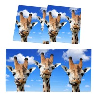 Fluorescent Light Cover For Classroom 2 Pcs Funny Giraffe Magnetic Fluorescent Light Covers Ceiling Light Covers Shade Panel