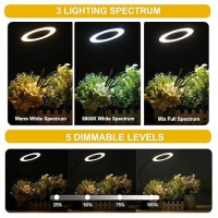 Grow Light For Indoor Plants Full Spectrum Desk Plant Light 72 Led Small Grow Lamp With Onoff Switch 1325 Inch Height Adjustab