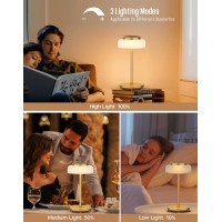 Qimh Battery Operated Led Table Lamp, 2 Pack 5000Mah Cordless Desk Lamp With 3 Level Brightness Touch Control, Mini Rechargeable Night Light For Living Room, Bedroom, Outdoor Bar (Gold)