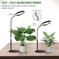 Garpsen Grow Lights For Indoor Plants 80 Leds Full Spectrum Desk Plant Light With Timer For 6H12H16H 5 Dimmable Levels Fle