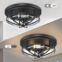 Darkaway 15Inch Ceiling Light Fixtures Large Flush Mount Light Fixtures Ceiling With Clear Glass Shade, Indoor Outdoor Ceiling Light For Hallway Entryway Bedroom Porch Kitchen 3-Light E26