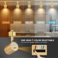 Vanoopee 5Color Gold Led Track Lighting Heads H Type Track Light Heads Dimmable 2000K 3000K 4000K 5000K 6000K Adjustable Flic