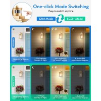 Vianis Motion Sensor Outdoor Wall Lights Sconce 2 Pack Dusk To Dawn Outdoor Light Fixture Lantern Gold Waterproof Outdoor Moti