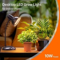 Bstrip Desk Grow Lights For Indoor Plants Full Spectrum Desktop Grow Light With Gooseneck Plant Grow Lamp For Indoor Home Offi