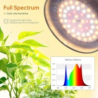 Bstrip Desk Grow Lights For Indoor Plants Full Spectrum Desktop Grow Light With Gooseneck Plant Grow Lamp For Indoor Home Offi