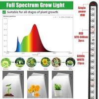 Bodkar Plant Grow Light Plant Lamp For Indoor Plants Growing 6000K White Red Light For Succulents Mini Small Plants Growth Wi