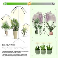 Taurusy Grow Lights For Indoor Plants Full Spectrum With Detachable Tripod Stand 1055 Inches Height Adjustable Stand And Deskt