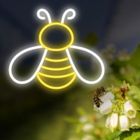 Coolgift Mart Bee Neon Sign Dimmable Honey Neon Light Wall Decor Birthday Party Decorations For Home Patio Garden Bars Ho