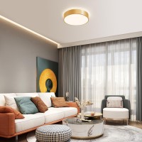 Vikaey Gold Led Ceiling Light Modern Flush Mount Ceiling Light Fixture Minimalist Round Metal Lighting Fixture Ceiling Lamp Fo