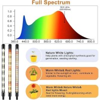 Sdovuerc Full Spectrum Dual Heads Clip Grow Lights For Indoor Plants With 3912H Timer Dimmer And 10 Feet Cables For Plant Grow