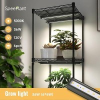 Speeplant Led Grow Light Strips T5 Grow Lights Full Spectrum 1Ft 5000K Led Grow Lights For Indoor Plants Plant Light With O