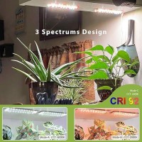 Aplant Led Grow Light 6101418H Timer Grow Lights For Indoor Plants Full Spectrum Dimmable Spacesaving Plant Light 3 Spect