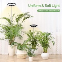 Lbw Grow Lights For Large Indoor Plants 144 Leds Full Spectrum Plant Light Growing Lamp With 4 Dimmable Levels 4812H Timer