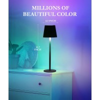 Faithorse 2Pack 5200Mah Rgb Cordless Table Lamp Rgb 8 Modes Touch Control Rechargeable Battery Desk Lamp Ip54 Waterproof Ba