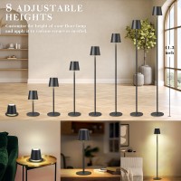 Faithorse Cordless Floor Lamp Rgb 8 Modes & Touch Control, Ip54 Waterproof Adjustable Height Standing Lamp For Living Room/Bedside/Patio/Restaurant/Bedroom(Black)