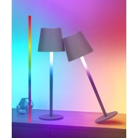 Faithorse 2-Pack Rgb Cordless Table Lamp, Rgb 8 Modes & Touch Control Rechargeable Battery Desk Lamp, Ip54 Waterproof Outdoor Table Lamp For Bedroom/Outdoor/Restaurant/Camping/Bars (Grey)