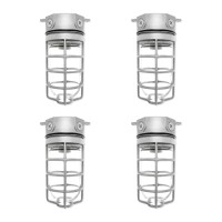 Rab Design Dvaks-100Cg Ceiling Or Wall Mounted Led Vapour-Proof Light Fixture, Weather And Vandal Proof Fixture, Natural Aluminum Finish (Pack Of 4)