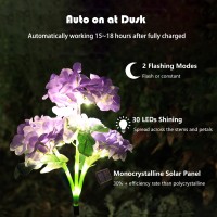 Fortunal Solar Garden Lights Fake Hydrangea Flowers Pathway Lights For Outdoor Decoration 2 Lighting Modes Powered By Updated Monocrystalline Solar Panel (2 Pack Of Purple)