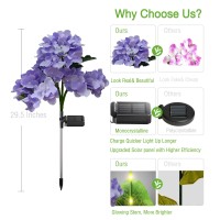 Fortunal Solar Garden Lights Fake Hydrangea Flowers Pathway Lights For Outdoor Decoration 2 Lighting Modes Powered By Updated Monocrystalline Solar Panel (2 Pack Of Purple)