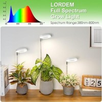 Lordem Grow Light 48 Leds Plant Light For Indoor Plants Full Spectrum Desk Grow Lamp With Automatic Timer For 4H8H12H 4 Dim