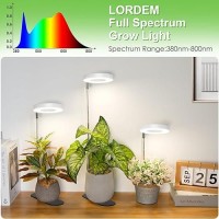 Lordem Grow Light 48 Leds Plant Light For Indoor Plants Full Spectrum Desk Grow Lamp With Automatic Timer For 4H8H12H 4 Dim