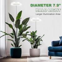 Lordem Grow Light For Indoor Plants 79 Full Spectrum Led Plant Grow Light Height Adjustable Growing Lamp With Auto Timer 4H