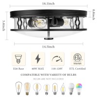 Luminzone Flush Mount Ceiling Light Fixtures With Clear Glass Shade, 16 Inch 3-Light Indoor Outdoor Farmhouse Lighting Flush Mount Lights For Kitchen Bedroom Porch Living Dining Room(Large)