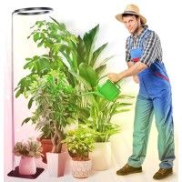 10 Grow Lights For Indoor Plants Full Spectrum With Stand Indoor Plant Light For Indoor Growing With 160Leds Height Adjustabl