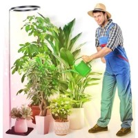 10 Grow Lights For Indoor Plants Full Spectrum With Stand Indoor Plant Light For Indoor Growing With 160Leds Height Adjustabl