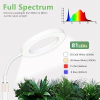 Geciliaoran Grow Light For Indoor Plants Full Spectrum Led Desk Plant Light With Stand Halo Small Growing Lamp With Auto Timer