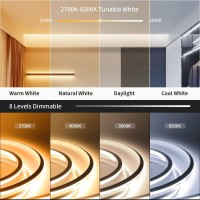 Ustarus Neon Led Strip Lights White Dimmable 20Ft 24V 2700K6500K Rope Tape Light Ip65 Waterproof With Remote Led Ribbon For K