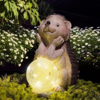 Euiroet Solar Garden Hedgehog Statue With Led Lights,Funny Resin Outdoor Statue For Garden,Animal Sculpture Figurine Perfect Outdoor Ornaments And Garden Art For Yard,Patio Indoor Home Decor