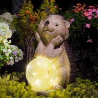 Euiroet Solar Garden Hedgehog Statue With Led Lights,Funny Resin Outdoor Statue For Garden,Animal Sculpture Figurine Perfect Outdoor Ornaments And Garden Art For Yard,Patio Indoor Home Decor