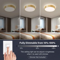 Peblto Dimmable Gold Led Ceiling Light 2700K6000K 5Cct In One Modern Flush Mount Ceiling Light Fixtures Minimalist Round Meta