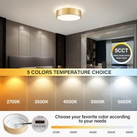 Peblto Dimmable Gold Led Ceiling Light 2700K6000K 5Cct In One Modern Flush Mount Ceiling Light Fixtures Minimalist Round Meta