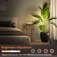 Urtom Led Spot Lights Indoor 3W Up Lights Indoor With Timer And Remote 3000K4000K5000K Uplighting Indoor Spotlight 120V Dimmab