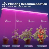 Freelicht 1 Pack 4Ft Led Grow Light 40W 250W Equivalent Red Blue 660Nm460Nm Full Spectrum Grow Light For Indoor Plants L