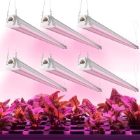 Freelicht 6 Pack 4Ft Led Grow Light 40W 250W Equivalent Red Blue 660Nm460Nm Full Spectrum Grow Light For Indoor Plants L