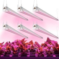 Freelicht 6 Pack 4Ft Led Grow Light 40W 250W Equivalent Red Blue 660Nm460Nm Full Spectrum Grow Light For Indoor Plants L