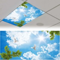 2 Pcs Fluorescent Light Covers For Classroom Magnetic Light Filters For Ceiling Lights Classroom Office Kitchen Light Coverings