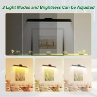 2Pack 16Inch Picture Light Battery Operated Rechargeable Magnetic Led Lights With Remote Dimmable Timer Painting Light Art D