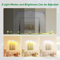 2Pack 16Inch Picture Light Battery Operated Rechargeable Magnetic Led Lights With Remote Dimmable Timer Painting Light Art D