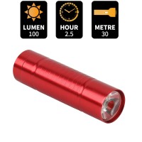 Hilngav 6 Pack Red Light Led Flashlight Mini Red Flashlight Red Torch For Astronomy Aviation Night Observation And Animal Obs