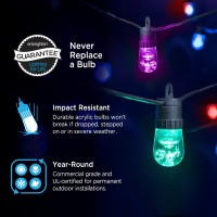 Enbrighten 2 Pack Led Premium Smart Color Changing String Lights 24Ft Black Cord 12 Shatterproof Acrylic Bulbs Weatherproof