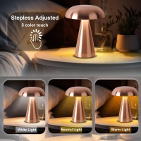 Leroxo Portable Led Table Lamp Cordless Metal Desk Lamp 3 Color Touch Control Rechargeable Lamp 3Levels Brightness Room Decor